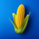 jalapwaswaswaskino886汉化版游戏下载-jalapwaswaswaskino886v3.25.0版下载